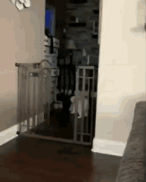 a dog is walking through a doorway in a living room with a gate .