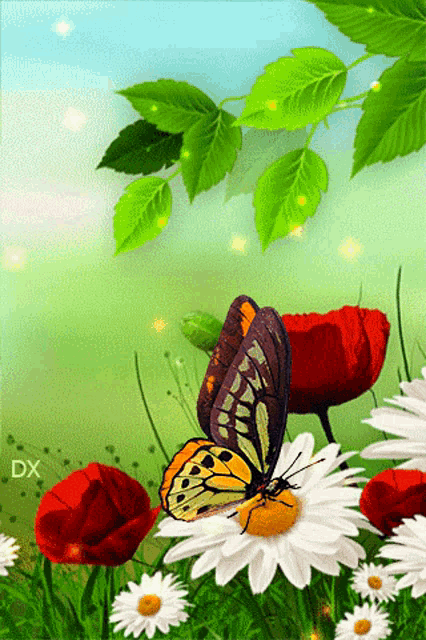 a butterfly is sitting on a daisy in a field with the letters dx on the bottom
