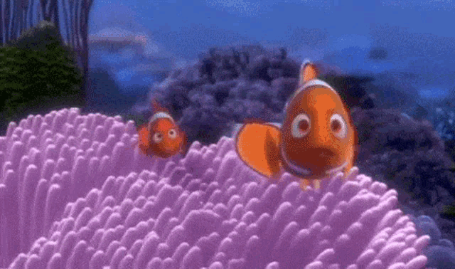 Finding Nemo Barracuda GIF - Finding Nemo Barracuda Finding Nemo Mom GIFs