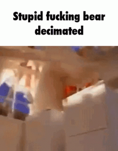 Bear Meme GIF - Bear Meme Memes GIFs