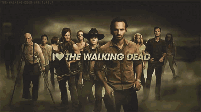 a poster for the walking dead shows a group of people