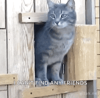 a cat is sticking its head out of a wooden door .