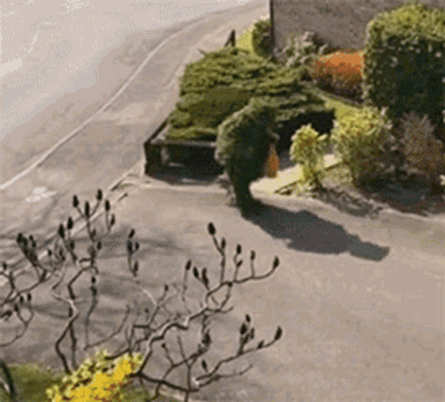Walking Grass Funny GIF - Walking Grass Funny Wait Till The End GIFs