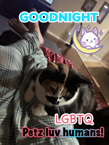 a calico cat is laying on a person 's lap with the words goodnight lgbtq petz luv humans