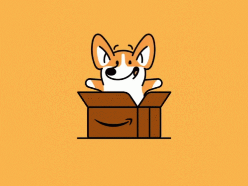 Amazon GIF - Amazon Corgi Dog GIFs