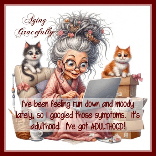 a cartoon of an elderly woman sitting in front of a laptop with two cats behind her