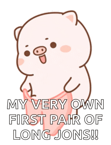 a cartoon pig is wearing underwear and says " my very own first pair of long jons "