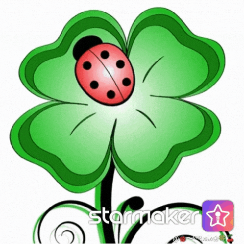 a ladybug is sitting on a four leaf clover with a starmaker logo