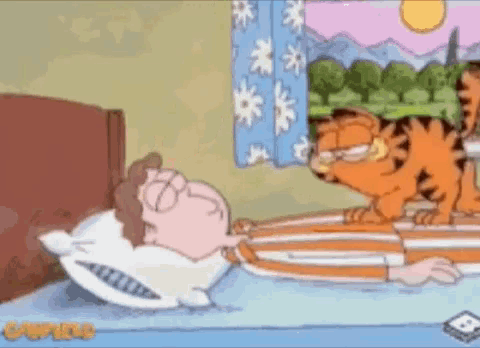 Garfield Wake Up GIF - Garfield Wake Up Jon GIFs