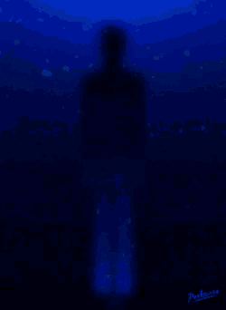 a painting of a person in the water has the name perkins written on the bottom