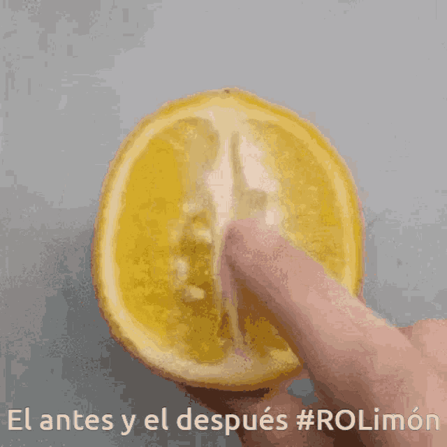 Rolimon Role Play GIF - Rolimon Role Play Rol GIFs