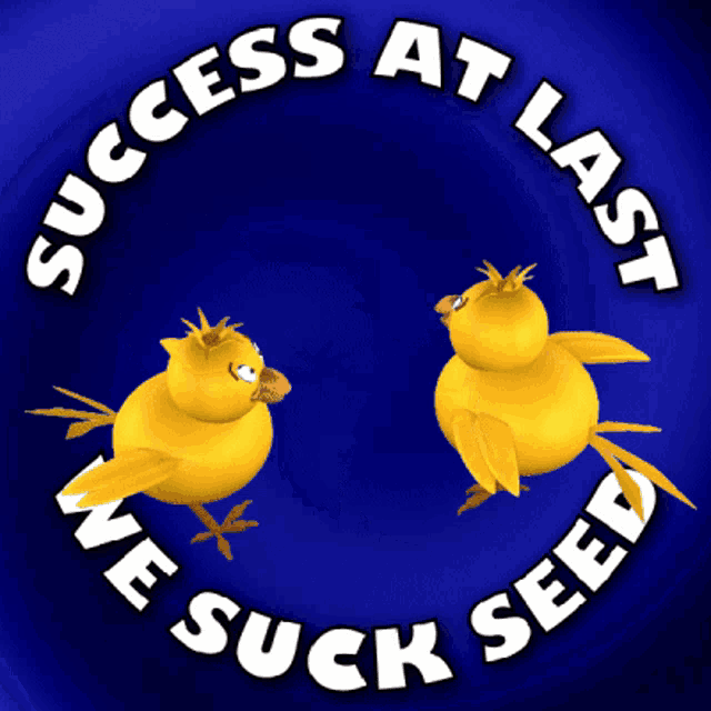 a blue background with two yellow birds and the words success at last we suck seed