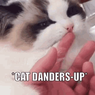 a cat is being petted by a person 's hand with the words `` cat danders-up '' above it .