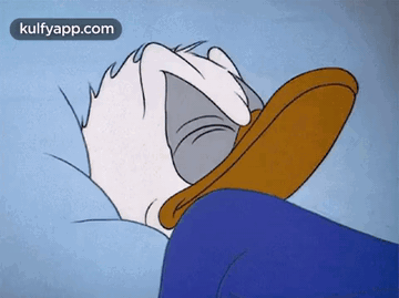 Sleeping Duck.Gif GIF - Sleeping Duck Anim-night Duck GIFs