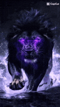 a black lion with purple eyes is running through the water with the caption capcut