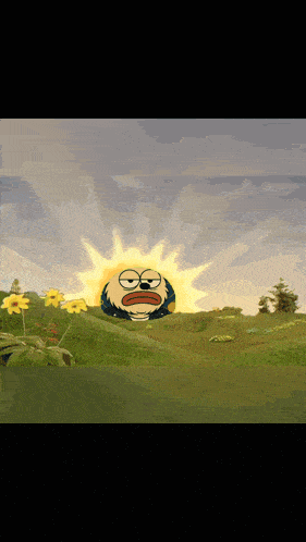a cartoon of a sun with a face on it in a field of flowers