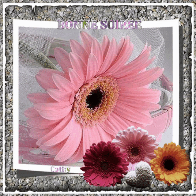 a picture of a pink flower with the words bonne soiree at the bottom