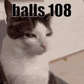 a cat is sitting in a chair with the words `` balls 108 '' written on it .