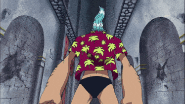 franky from one piece is standing in a hallway