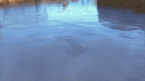 a purple object is floating on top of a blue body of water