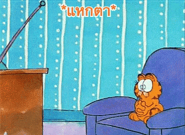การ์ฟิลด์ แหกตา ถ่างตา ตื่น GIF - Garfield Eyes Wide Open Stay Awake GIFs