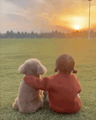 a little girl and her dog are sitting in the grass watching the sun set