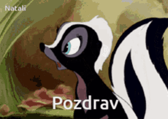 a picture of a skunk with the word pozdrav written on it