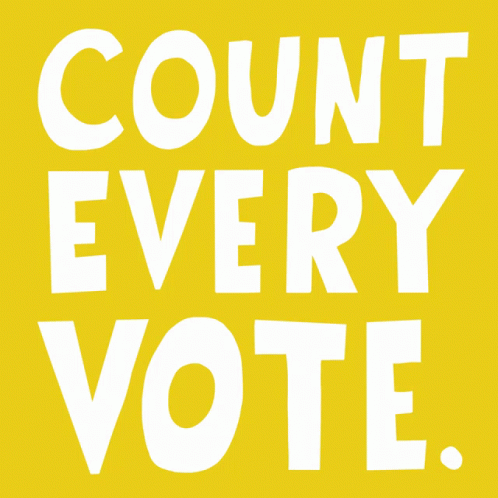Count Every Vote Every Vote Counts GIF - Count Every Vote Every Vote Counts It Doesnt Matter How You Vote GIFs