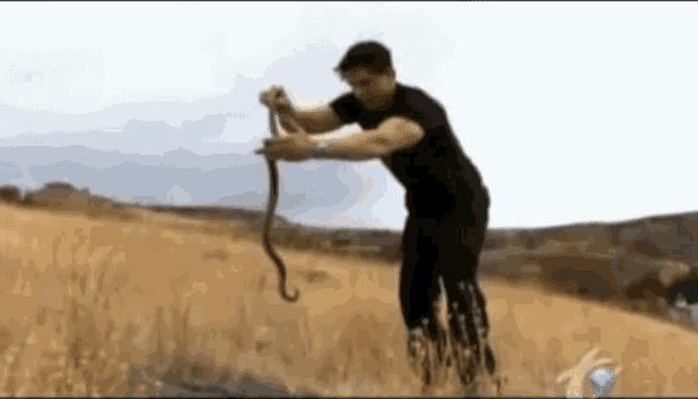 Snake Ghost GIF - Snake Ghost Adventures GIFs