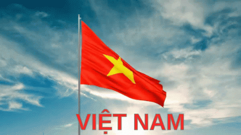 Việt Nam GIF - Việt Nam Cờđỏsao Vàng Quốc Kỳ GIFs