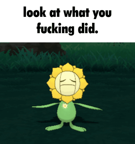 Look At What You Fucking Did Sunflora GIF - Look At What You Fucking Did Sunflora Sunflower GIFs