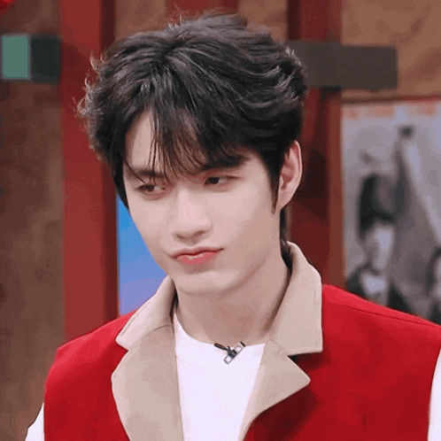 a young man wearing a red vest and a white shirt is making a funny face