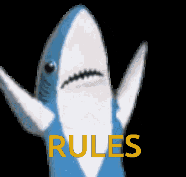 a blue and white shark with the word rules in yellow letters