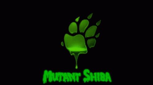 Shiba Mutant Shiba GIF - Shiba Mutant Shiba Mutant Shiba Club GIFs