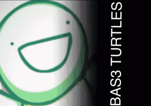 a picture of a turtle with the words bass3 turtles written below it