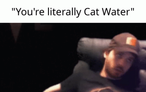 Literally Cat Water Youre Literally Cat Water GIF - Literally Cat Water Youre Literally Cat Water GIFs