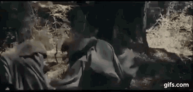 a man is laying on the ground in the woods .