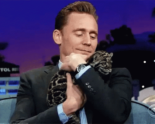 Tom Hiddleston Leopard GIF - Tom Hiddleston Leopard GIFs