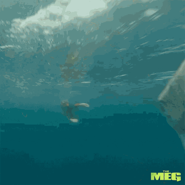 a movie poster for the meg shows a person swimming in the ocean