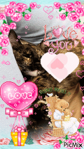 a picture of a cat and a teddy bear with a heart that says love