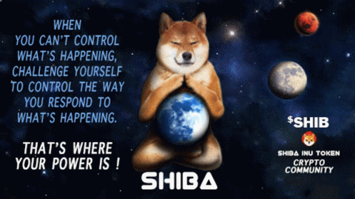 Shib Shiba Inu GIF - Shib Shiba Inu Shibarmy GIFs