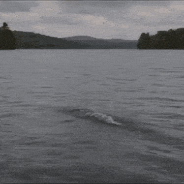 a person is giving the middle finger while swimming in the water .
