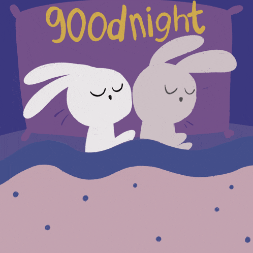 an illustration of two rabbits sleeping under a pillow that says goodnight