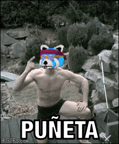 a pixelated image of a shirtless man with a panda mask on his face and puneta written on the bottom