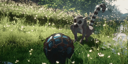 a lemur standing next to a blue ball in a field