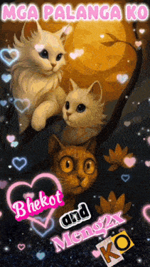 a picture of three cats with the words bhekot and meng2x