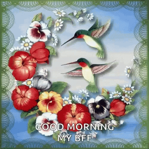Good Morning GIF - Good Morning Bff GIFs