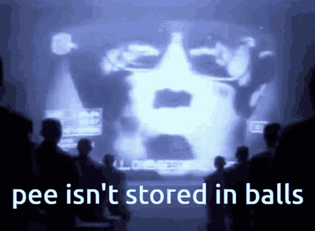 a group of people looking at a screen that says pee isn t stored in balls