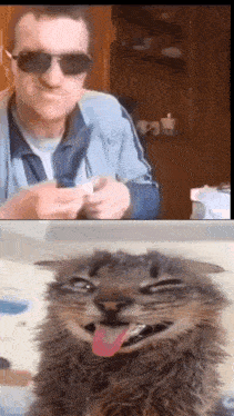 a man wearing sunglasses is sitting next to a cat with its tongue out