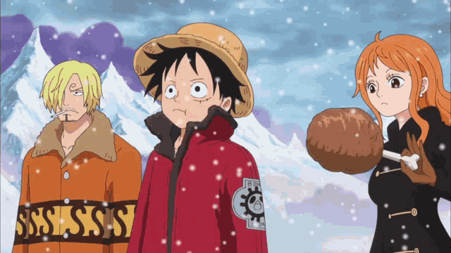 monkey d luffy and sanji are standing next to each other in a snowy scene